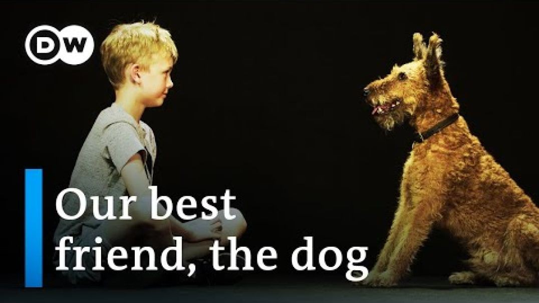 Dogs The secrets of an unbreakable friendship