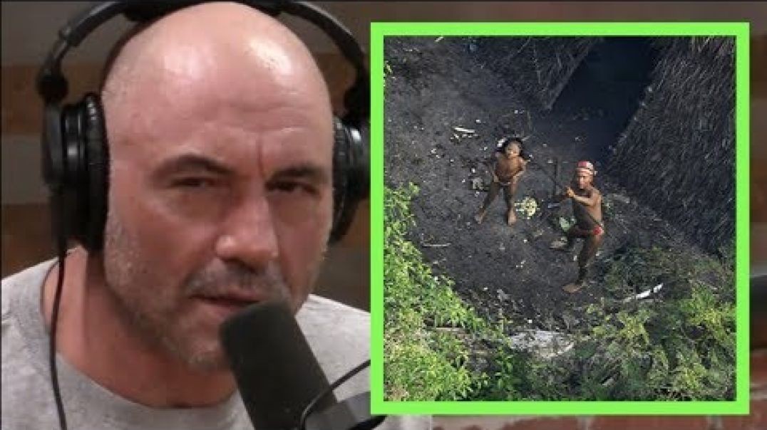 ⁣Joe Rogan on tribes thatnever seen other humans