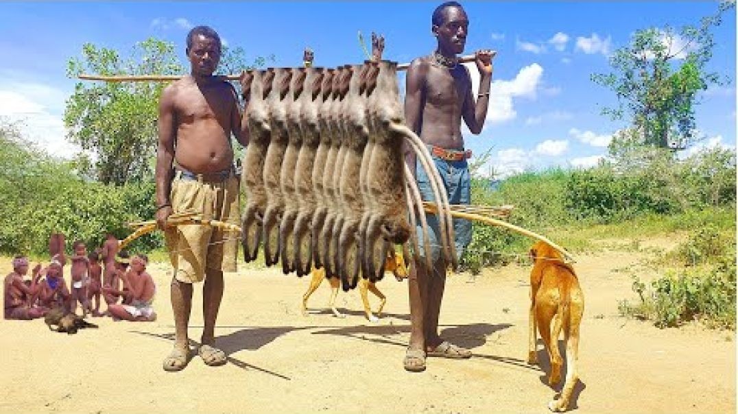 ⁣Hadzabe Tribe the monkey hunters