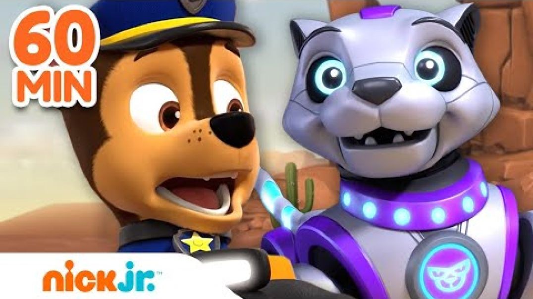 ⁣PAW Patrol Mega Robot Rescues