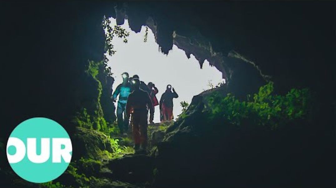 Underground Forests In Mystery Holes Of China