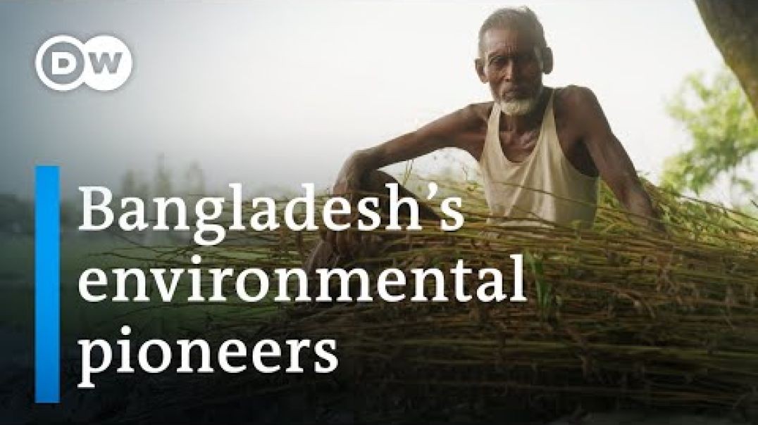 ⁣Bangladesh Could jute jump start the eco-revolution